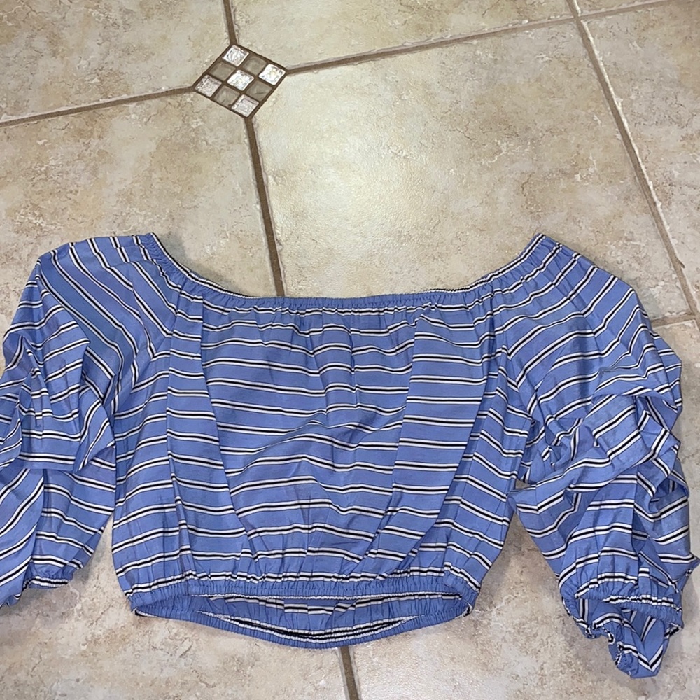 Alice + olivia blue striped crop top